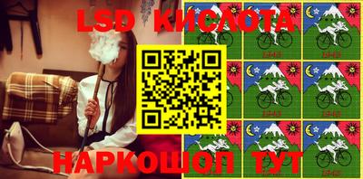 бошки Камышлов