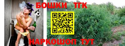 крисы Кандалакша