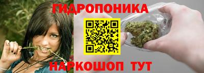 гашик Канаш