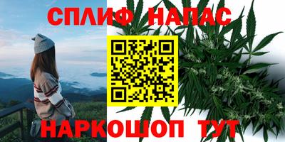 крисы Кандалакша