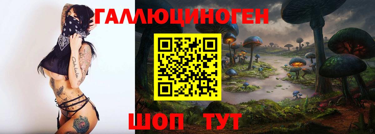 Псилоцибиновые грибы Cubensis Кузнецк