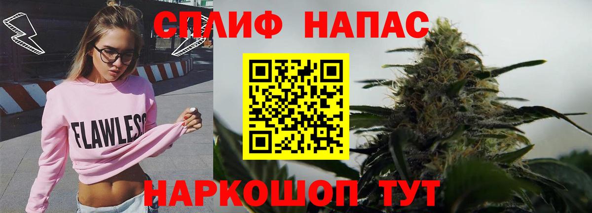 Канабис план Кузнецк